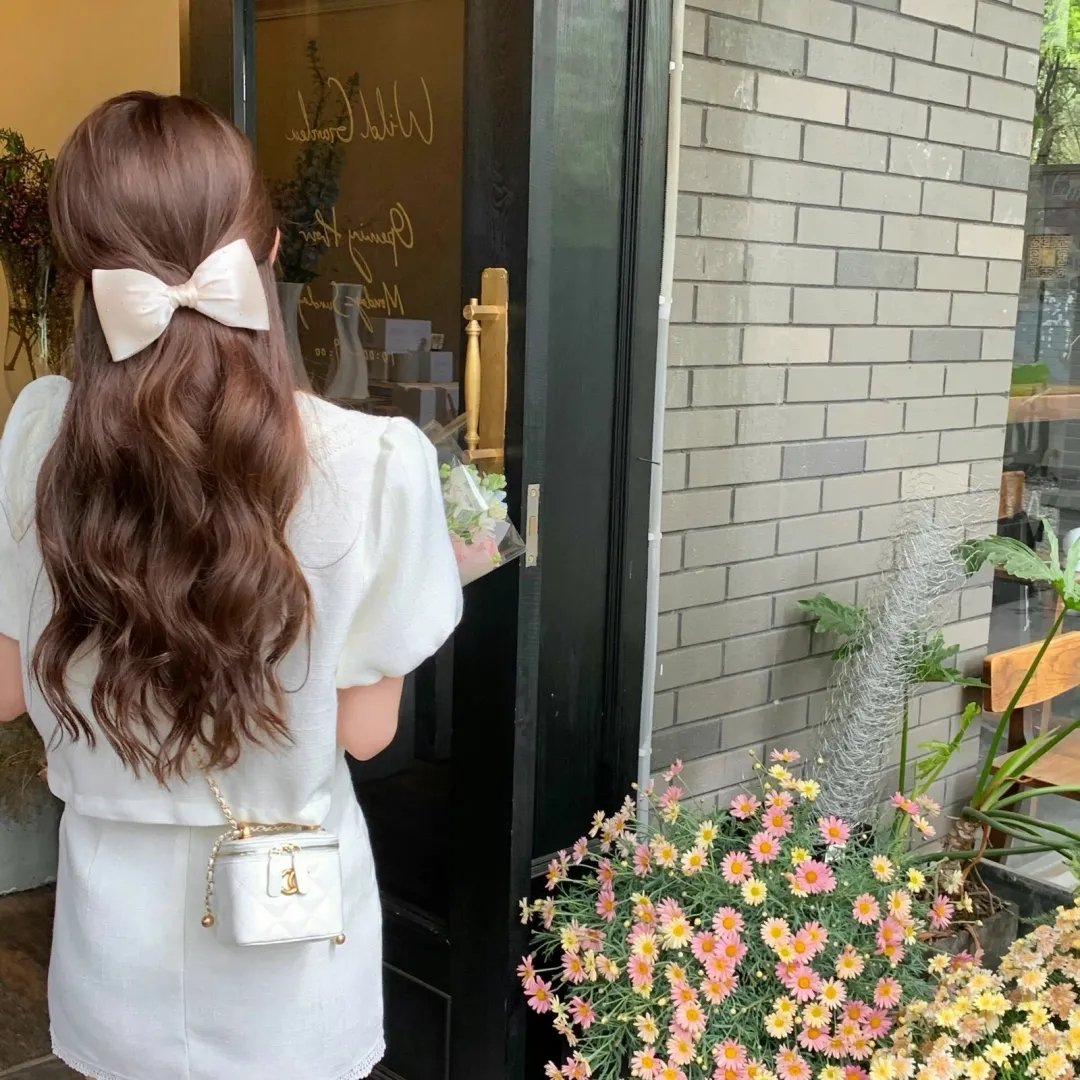 红粉贵族 封面